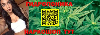 прущие грибы Бугуруслан