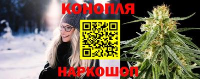 ешки Будённовск