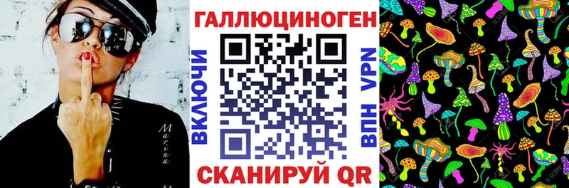 Псилоцибиновые грибы мицелий  Иркутск 