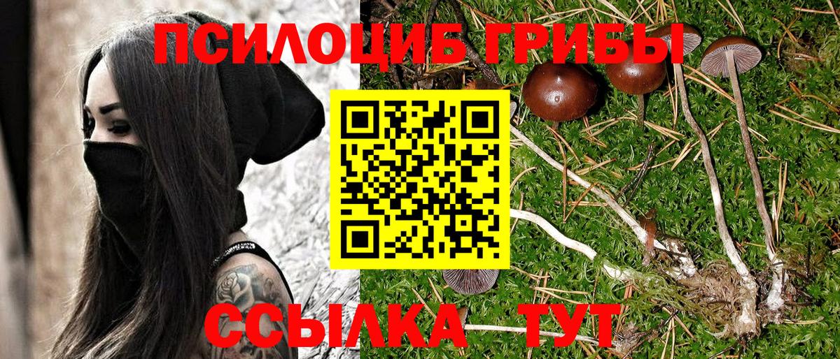 Псилоцибиновые грибы Psilocybe  Галлюциногенные грибы Psilocybe  Иркутск  Вход с VPN 
