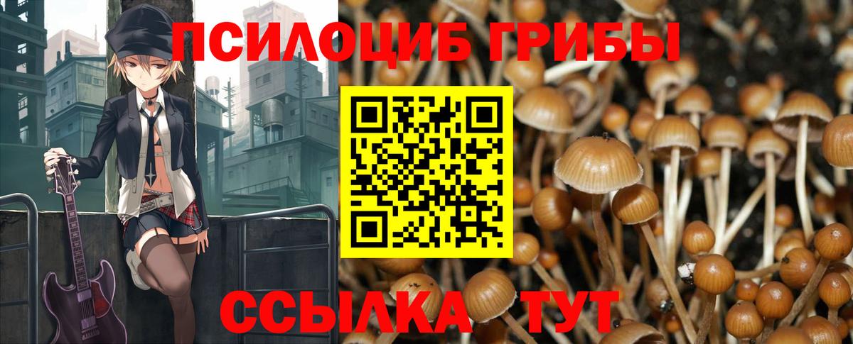 Галлюциногенные грибы прущие грибы Иркутск