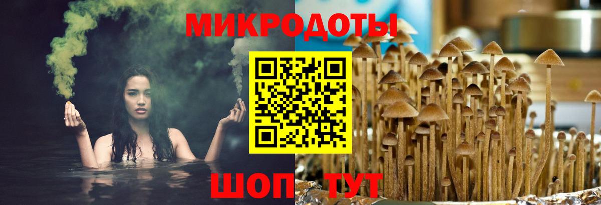 Галлюциногенные грибы Magic Shrooms Иркутск