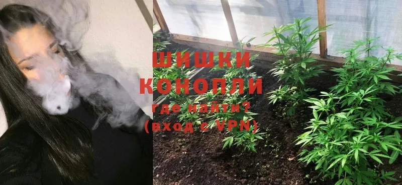 площадка формула  Иркутск  МАРИХУАНА Ganja 